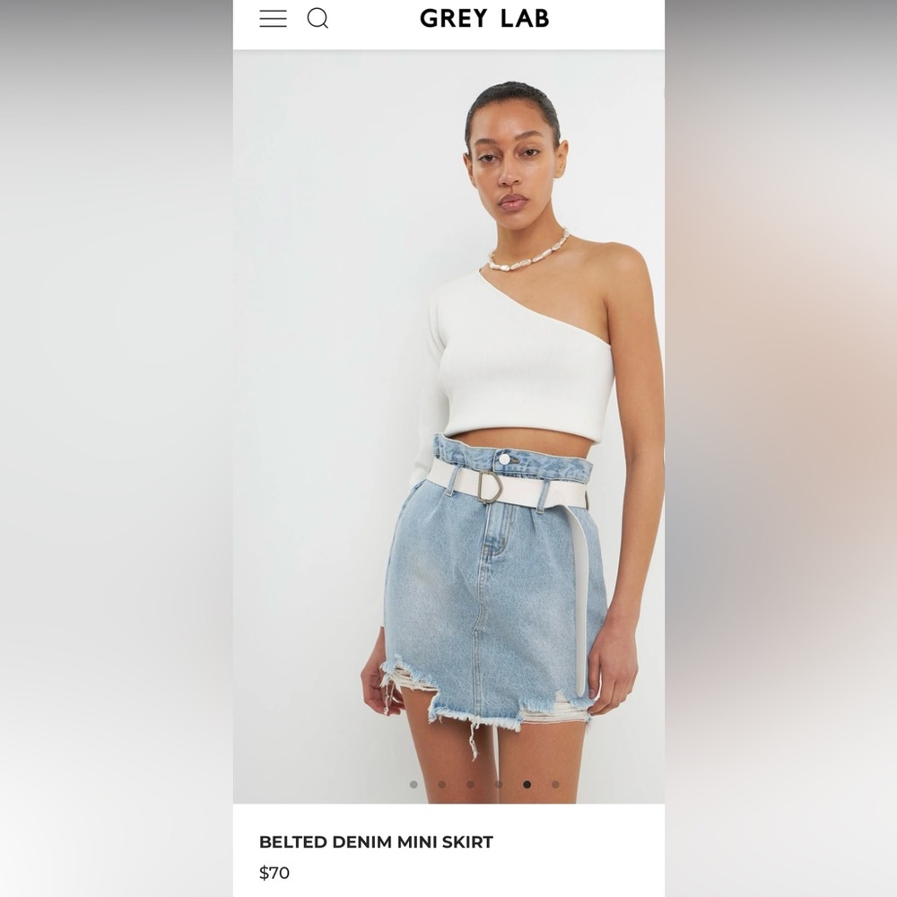 Grey Lab Skirt - Picture 8 of 10